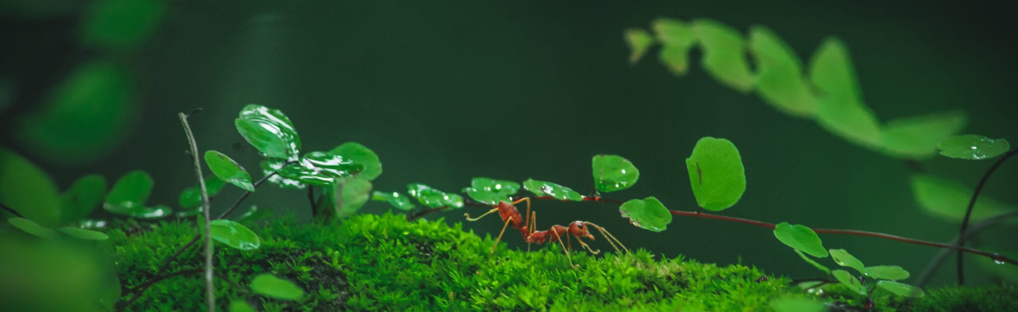 arijit-manna-CuT8TXQdEto-unsplash yhjn